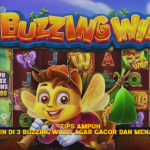 Tips Ampuh Bermain di 3 Buzzing Wilds agar Gacor